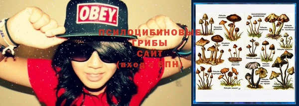 соль курить ск Алексеевка
