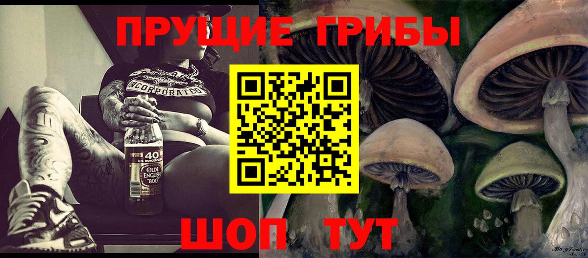 Псилоцибиновые грибы Cubensis Кызыл