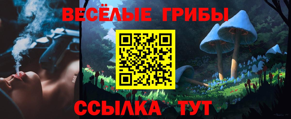 Кызыл  Псилоцибиновые грибы GOLDEN TEACHER  Вход с VPN 