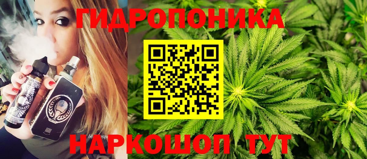 Канабис индика Кызыл